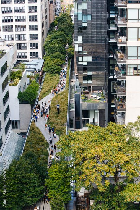 The New York High Line urban park aerial view, tourists walking, surrounded by tall buildings Stock Photo | Adobe Stock The Highline New York, High Line Park New York, The High Line New York, The Highline Nyc, New York Highline, High Line Ny, The High Line Nyc, Architecture Girl, High Line Nyc