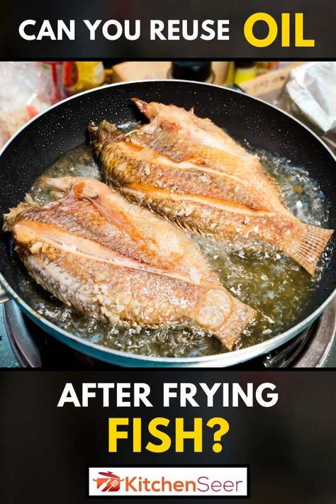 It's a common thing to use oil in more than one cooking event. But can you reuse oil after frying fish? Read our guide to know how you can reuse oil after frying fish and how long can you keep the oil. Best Oil For Frying, Fish Fryer, Frying Fish, Swai Fish, Pan Fried Fish, Cleaning Fish, Best Pans, How To Cook Fish, Deep Fryer