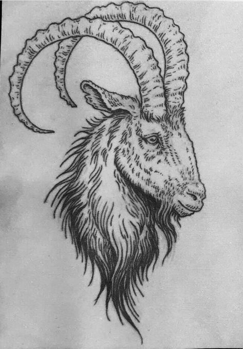 Goat Eye Tattoo, Sheep Skull Tattoo, Ibex Tattoo, Faun Tattoo, Black Phillip Tattoo, Goat Head Drawing, Capricorn Animal, Goat Tattoo Design, Capricorn Drawing