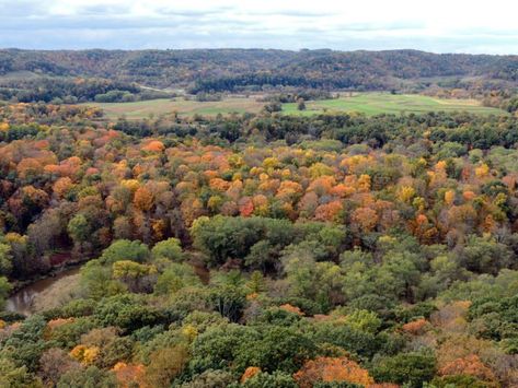 2. Wildcat Mountain State Park - Ontario Wisconsin Travel, Down The River, Ski Area, Fall Travel, Mississippi River, Birds Eye View, Picnic Area, Birds Eye, Fall Foliage