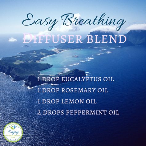 This diffuser blend for easy breathing will help your airways to open up, and get rid of the discomfort created by a stuffy nose or asthma Essential Oil Blends For Colds, Doterra Diffuser Blends, Essential Oils For Colds, Ginger Essential Oil, Essential Oil Diffuser Recipes, Oil Diffuser Recipes, Frankincense Oil, Diffuser Blend, Stuffy Nose