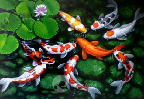 Koi Painting, Koi Art, Animal Portraits Art, Chinese Patterns, Creative Painting, Fish Painting, Animal Posters, Fish Art, Water Lilies