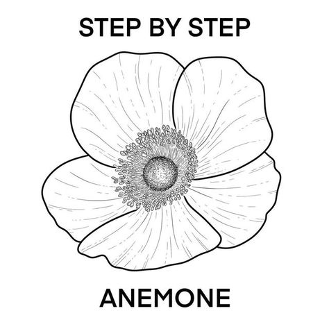 Kaily Wilson on Instagram: "STEP BY STEP ANEMONE I am so happy with how this tutorial has turned out, I hope you like it as much as I do! I love drawing anemones because their single layer of broad petals are relaxing to draw. The shape is more basic as far as flowers go - that being said.. What will really make your anemone illustration *stand out* is the detail you add to the centre. (It’s worth it I promise) If you like this tutorial be sure to save it for later! Tutorials every Wednesd Anemone Illustration, Anenome Flower, The Goo Goo Dolls, Youtube Setup, Poppy Drawing, Goo Goo Dolls, White Anemone, Flowers Instagram, Favourite Song