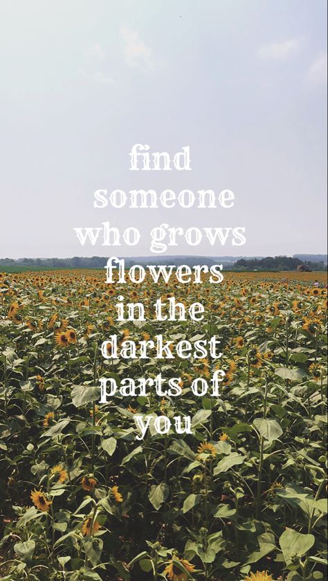 Find Someone Who Grows Flowers Wallpaper, Sun To Me Zach Bryan Wallpaper, Find Someone Who Grows Flowers In The Darkest Parts Of You, Find Someone Who Grows Flowers Tattoo, Wallpaper Zach Bryan, Country Music Wallpaper, Sun To Me Zach Bryan, Zach Bryan Wallpaper, Country Background