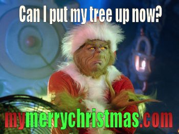 Funny Christmas Memes, Grinch Memes, Christmas Memes Funny, Grinch Quotes, Christmas Memes, Funny Quotes For Teens, Cartoon Memes, The Grinch, Funny Love