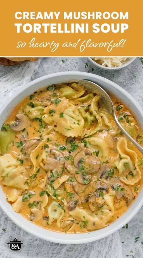 Overhead view of Creamy Mushroom Tortellini Soup in a white bowl with a spoon. Creamy Mushroom Tortellini, Mushroom Tortellini Soup, Mushroom Noodle Soup, Mushroom Tortellini, Cheese Tortellini Soup, Soup Creamy, Mushroom Broth, Vegetarian Soup Recipes, Tortellini Pasta