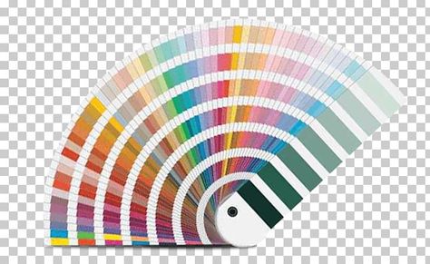 Pantone Color Book, Pantone Book, Pantone Color Chart, Color Book, Latest Colour, Cmyk Color, Pantone Color, Color Chart, Color Trends