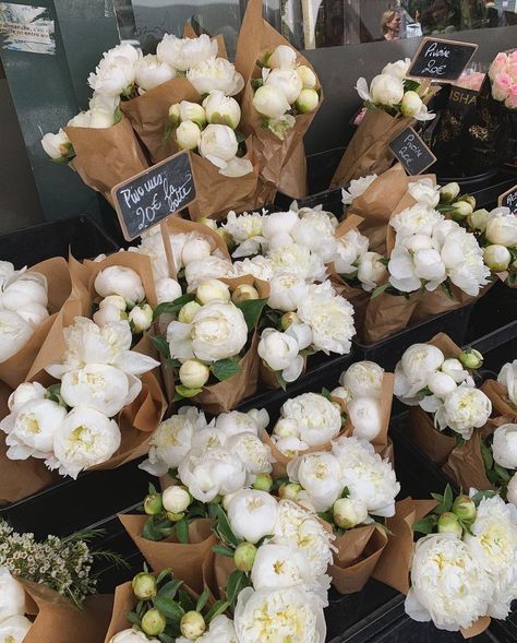 Huge Bouquet, Nothing But Flowers, Flower Therapy, White Peonies, Flower Market, Flowers Nature, Love Flowers, My Flower, Flower Shop