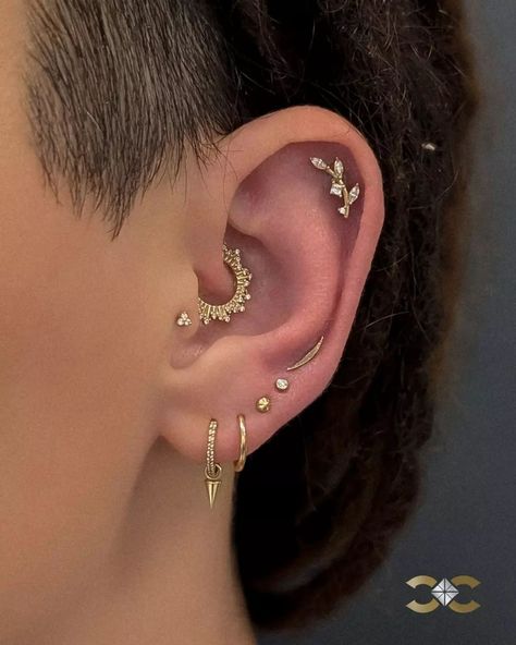 ✨Comment 'LINK' to receive the product links and jewellery prices in your DMs✨ This stunning ear curation beautifully blends gold tones with intricate details, showcasing a mix of textures and styles. Each piercing tells a story, from the charming olive branch design to the elegant minimalist studs.  A true testament to the art of ear styling!" 🎉💖 #GoldGlam #EarCuration #UniqueStyle Find Ireland's largest collection of Fine Jewellery in-store at 7 D'Olier Street or online at our webstore, ... Tiny Tragus Piercing, Celestial Ear Curation, Cute Ear Piercings Minimalist, Ear Curation Gold, Gold Ear Curation, Minimalist Ear Piercings Ideas, Ear Piercing Minimalist, Ear Piercing Curation, Mid Helix Piercing