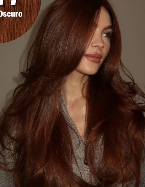 Best Fall Hair Colors, Auburn Red Hair, Light Auburn Hair, Hair Color Orange, Red Hair Inspo, Hair Tint, Hair Color Streaks, Ginger Hair Color, Hair Color Auburn