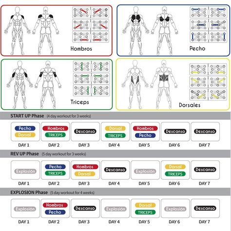 4 Day Workout, Exercise Tools, 5 Day Workouts, Push Up Board, Push Up Stand, Up Board, Plyometric Workout, Push Up Bars, Chest Workouts