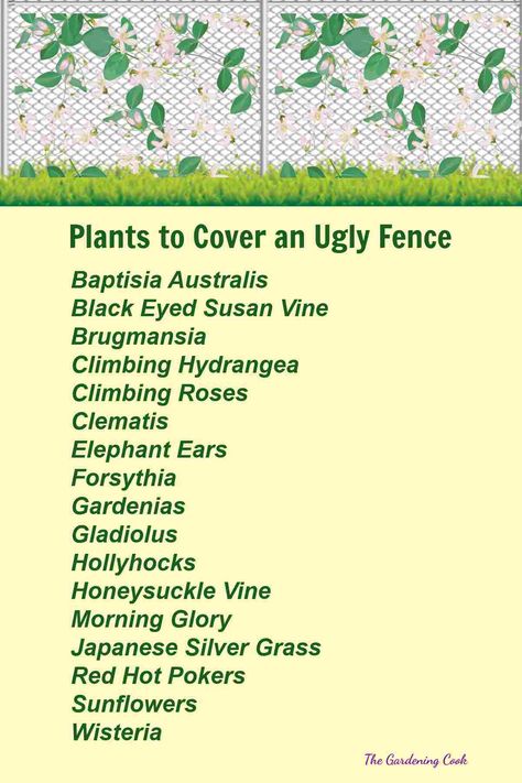 Landscaping Along a Chain Link Fence - Ideas for Hiding an Ugly Fence Chain Link Fence Line Landscaping Ideas, Chain Link Fence Flowers, Landscape Along Chain Link Fence, Chain Link Fence Ideas Cover Up Plants, Chain Link Fence Landscaping, Chainlink Fence Makeover, Chain Link Fence Garden, Chain Link Fence Ideas Cover Up, Hide A Chain Link Fence