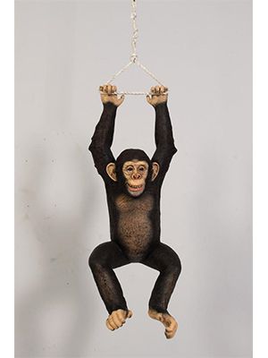 Fiberglass Hanging Monkey! Fun for indoor or outdoor use! Black Tip Shark, Monkey Statue, Hanging Monkey, Silverback Gorilla, Adventure Golf, Life Size Statues, Safari Jungle, Vacation Bible School, Jolly Roger