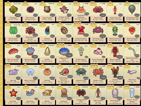 All-round cheat sheet for the ‘new’ sea creatures! 🦀🐚 First slide is for northern/ second is for southern hemisphere. Third shows bubble… Sea Creatures Animal Crossing, Animal Crossing Inspiration, Animal Crossing Fish, Acnh Tips, Fish List, Core Ideas, Animal Crossing 3ds, Animals Crossing, Animal Crossing Guide