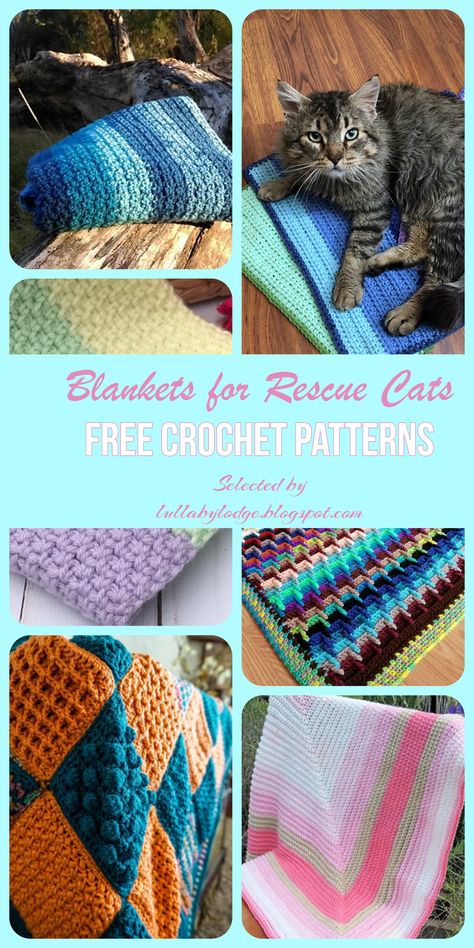 Make a blanket for a rescue cat, free crochet patterns selected by Lullaby Lodge. #crochet #crochetblanket #catblanket #crochetblog #crochetblogger #rescuecats Unique Crochet Patterns, Crochet A Blanket, Make A Blanket, Pet Sweaters, Knitting For Charity, Crochet Cat Pattern, Cat Blanket, Crochet Blog, Animal Projects