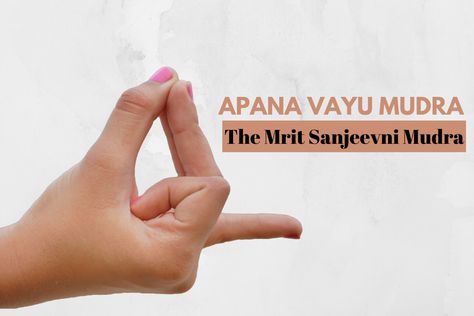 Apana Vayu Mudra: How to Do, Precautions and Benefits - Fitsri Apana Vayu Mudra, Mudra For Heart, Vayu Mudra, Prana Mudra, Hand Mudra, Hair Growth Naturally, Heart Arteries, Yoga Mudras, Fast Heartbeat