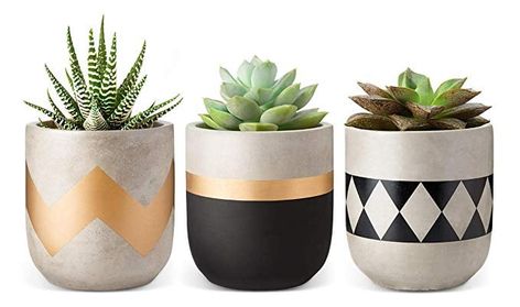 Succulent Planters Modern Flower Pots, Concrete Plant Pots, Cactus Plant Pots, Pot Diy, Plant Pot Design, Small Indoor Plants, Plant Pot Diy, Painted Plant Pots, Painted Pots Diy