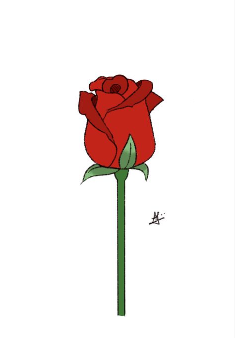 Drawing of a rose Rose Draw, Drawing Of A Rose, Long Stem Rose, Rose Illustration, Rose Drawing, Roses Drawing, A Rose, Stop Motion, Motion