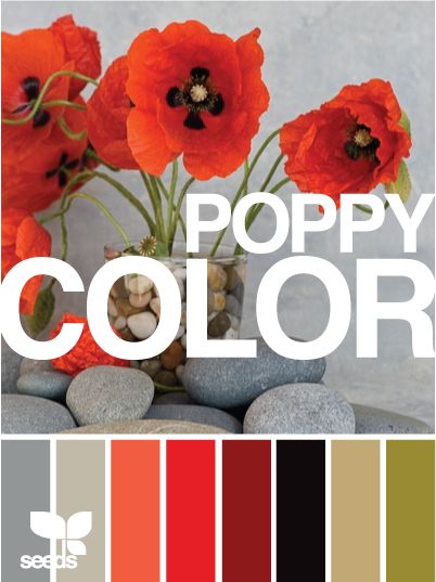 paint colors Decorate Office, Kitchen Color Red, Color Palette Living Room, Colour Themes, Paint Palettes, Matching Colours, Color Coordination, Poppy Color, Kitchen Colour Schemes