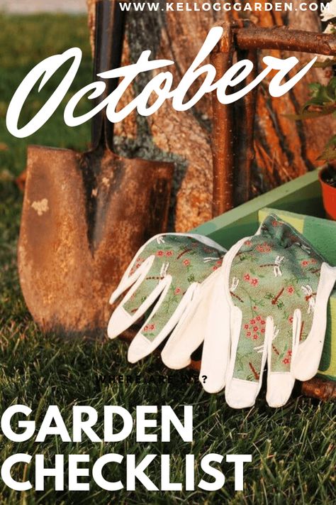 October Garden Checklist October Gardening, Strawberry Seedlings, Garden Checklist, Huge Garden, Homestead Gardening, Fall Gardening, Garden Growing, Homesteading Skills, Strawberry Plants