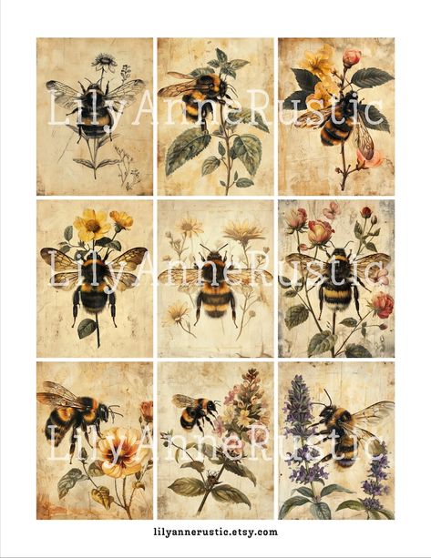 Vintage Bee Digikit Junk Journal Nature Ephemera Kit Vintage Bumblebee Printable Digital Nature Images - Etsy UK Images For Scrapbook, Nature Ephemera, Journal Nature, Bee Images, Vintage Bee, Journal Ephemera, For Scrapbook, Digital Kit, Digital Nature