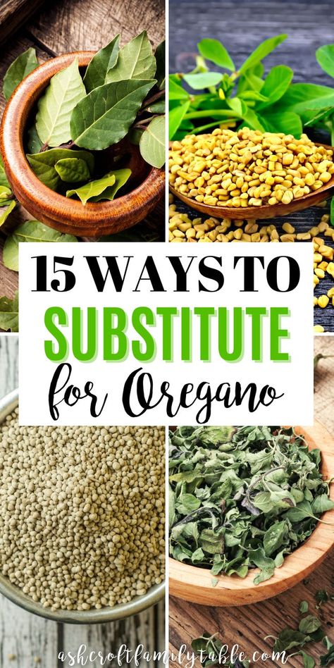 Here are 15 easy ways to substitute for oregano, fresh or dried, plus several easy and delicious recipes with oregano. Oregano Recipes, Food Substitutions, Family Table, Italian Seasoning, How To Dry Oregano, Oregano, Delicious Recipes, Sour Cream, Herbs