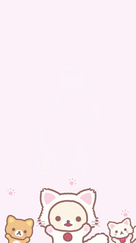 Korilakkama cats bg 💕 Screen Phone Wallpapers, Rilakuma Wallpapers, Rilakkuma Wallpaper, Kawaii Wallpapers, Stationery Kawaii, Kawaii Background, Japanese Candy, Kawaii Gifts, Sanrio Wallpaper