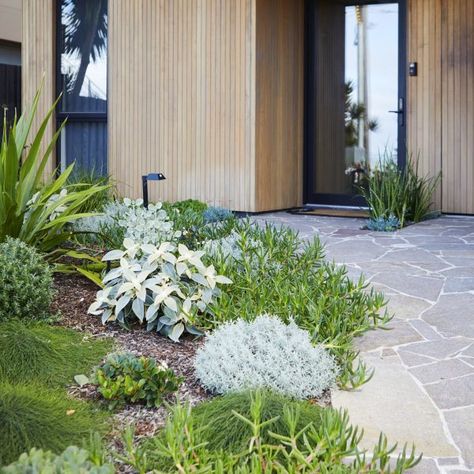 Clovelly | Stone Lotus Rock Garden Ideas Front Yard, Front Yard Trees, Garden Ideas Front Yard, Yard Trees, Curb Appeal Garden, Australian Native Garden, Crazy Paving, Front Garden Landscape, Sloped Garden