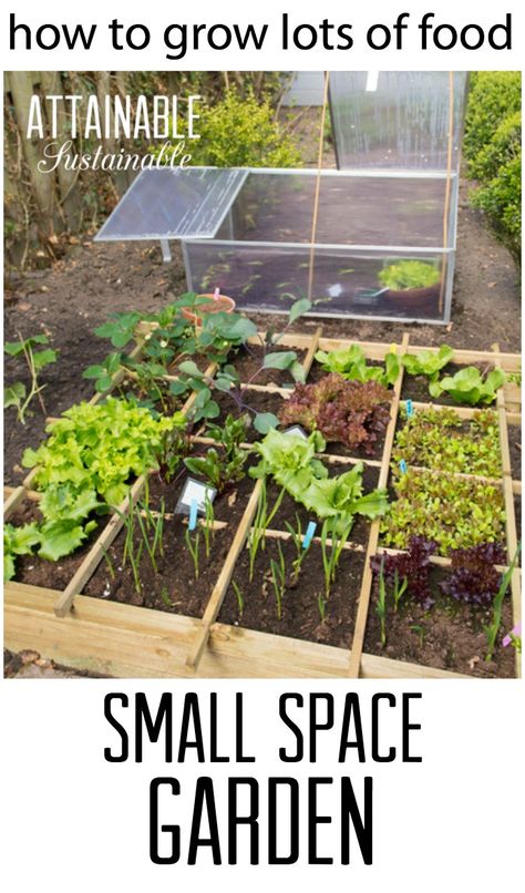 These small garden ideas will help you get the most bang for your vegetable gardening buck! Here's how to make the most of the space you have and what to plant for the best harvest. City Garden Ideas Small Spaces, Small Space Garden, Harvest Garden, Garden Prepping, Space Garden, Small Garden Ideas, Vegetable Garden Diy, Garden Types, Diy Gardening