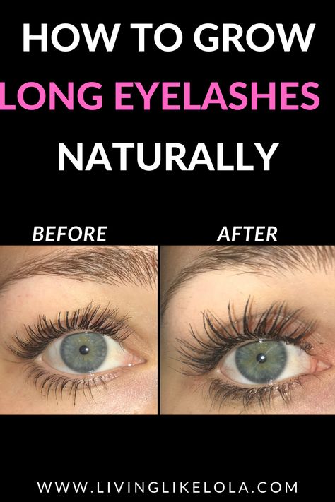 The EXACT product I  used to grow my eyelashes longer and stronger. How to grow your eyelashes naturally overnight! Long eyelashes Long Eyelashes Naturally, Grow Long Eyelashes, Grow Eyelashes Naturally, Longer Eyelashes Naturally, Eyelashes Longer, Grow Your Eyelashes, Get Long Eyelashes, Long Thick Eyelashes, Thick Eyelashes