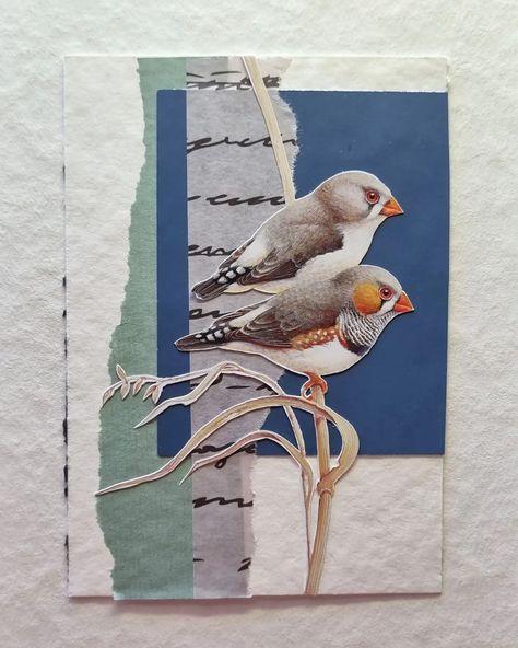 Wildlife Collage, Multimedia Collage, Mini Collage, Bird Collage, Modern Collage, Collage Collage, Mixed Media Art Canvas, Collage Art Projects, Paper Collage Art