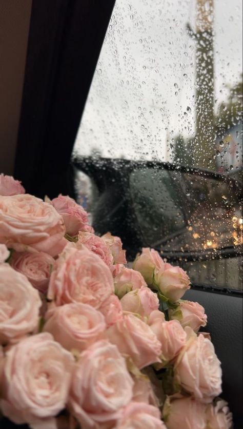 Rainy Day, Pink Roses, Roses, Flowers, Pink