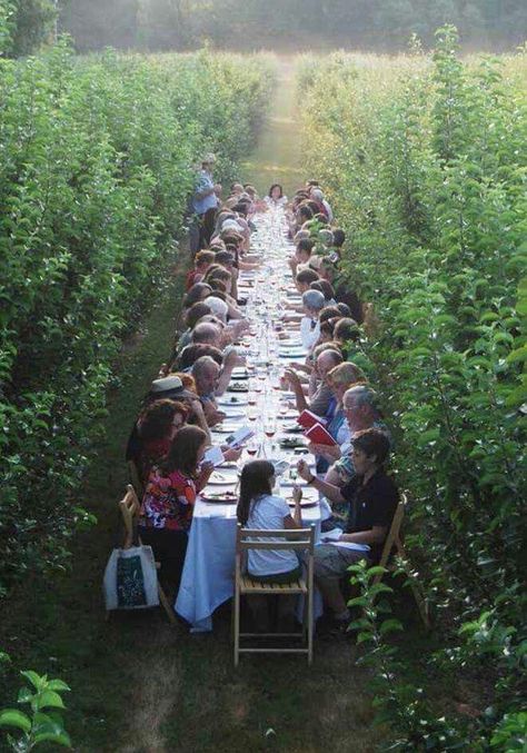 Engagement Dinner, Mediterranean Living, Orchard Wedding, Long Tables, Garden Dining, Farm Party, Farm To Table, Garden Parties, Al Fresco Dining