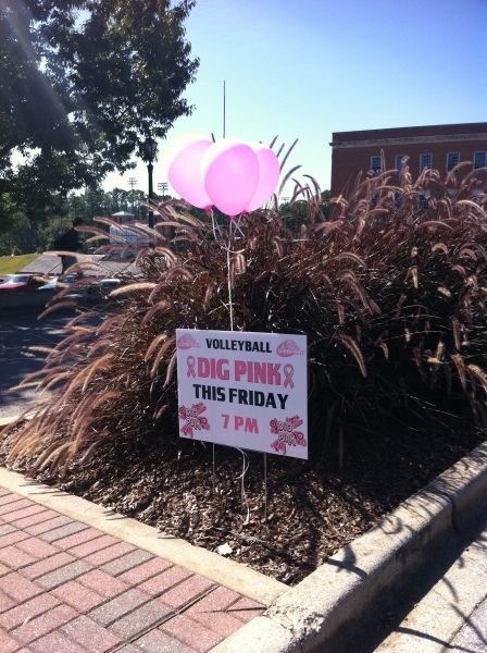 Hey!!!! Volleyball Dig Pink Match......hope you didn't miss it!!! Dig Pink Fundraising Ideas, Pink Out Volleyball Game, Dig Pink Volleyball, Dig Pink Volleyball Ideas, Asb Ideas, Volleyball Dig, Pink Volleyball, Volleyball Pics, Dig Pink