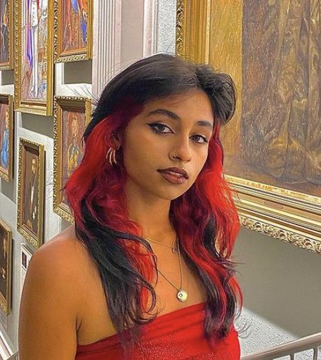 Black And Bright Red Hair, Red Hair With Skunk Stripe, Brown Hair Edgy, Bright Red Highlights In Brown Hair, Egirl Hairstyle Color, Red Hair Indian, Olive Skin Hair Color, Boujee Aesthetic Outfits, Aries Hair