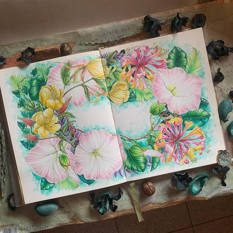 Puck Creations | August Mix, done!🌿🌻🌾Large-Flowered Evening Primrose, Hedge Bindweed and Honeysuckle. From The Flower Year by Leila Duly. I used… | Instagram Leila Duly, Derwent Inktense, Faber Castell Polychromos, Evening Primrose, Photo Reference, Real Flowers, Textile Prints, Adult Coloring Books, Hedges