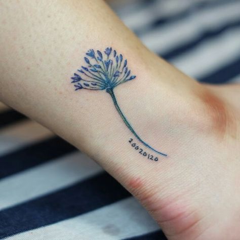 Agapantha Flower Tattoo, Agapanthus Tattoo, Anil Gupta Tattoo, Little Elephant Tattoos, Baker Tattoo, Marigold Tattoo, Aa Tattoos, Agapanthus Africanus, V Tattoo