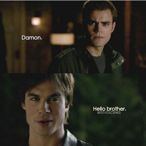 Best scene! The vampire diaries 1x01 Damon Season 1, Hello Brother Tvd, Paul Weasly, Wallpaper Vampire Diaries, Quotes Vampire Diaries, Tvd Damon, The Salvatore Brothers, Vamp Diaries, Vampire Diaries Memes