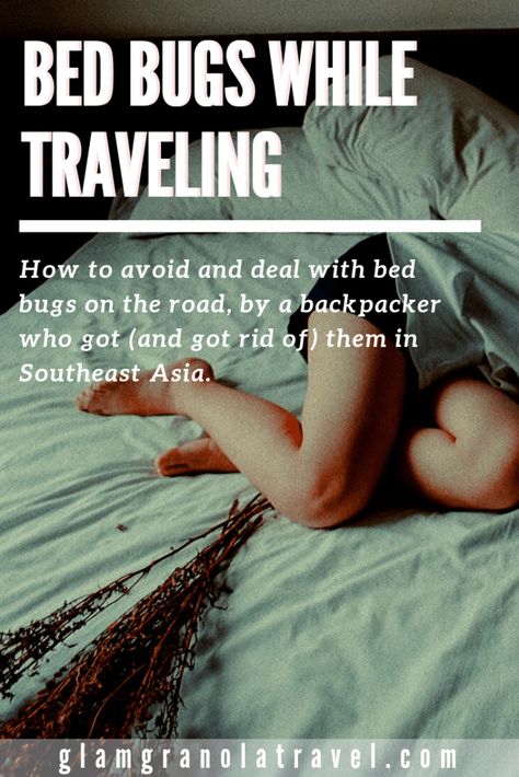 Bed Bugs While Traveling: How I Got Rid of Bed Bugs in Vietnam | Glam Granola Travel Get Rid Of Bed Bugs, Bed Bug Spray, Planning Trips, Ballin On A Budget, Kill Bed Bugs, Rid Of Bed Bugs, Bed Bug Bites, Bed Bug, Bug Spray