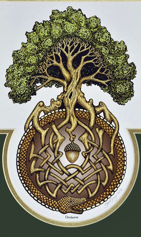 Awen Symbol, Oak Tattoo, The World Serpent, Acorn Tattoo, World Serpent, Yggdrasil Tree, Leg Art, Coffee Tree, Tree Logo