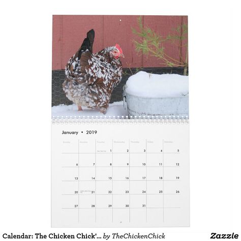 Calendar: The Chicken Chick's Flock Calendar