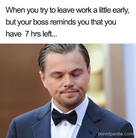 Get back to work instead of reading these Boss Memes! - Imgur Job Memes, Teen Memes, Boss Humor, Good Boss, In Meme, Team Success, Boss Quotes, Fresh Memes, Work Memes