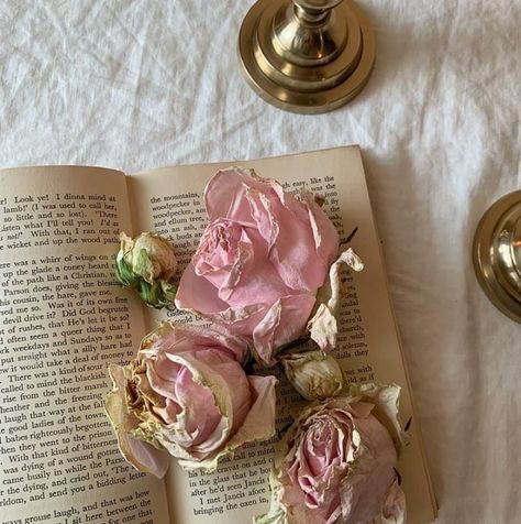 penelope featherington | aesthetic | bridgerton romancing mr. bridgerton Featherington Aesthetic, Romantic Academia Aesthetic, Pink Academia, Penelope Featherington, Romantic Academia, Spilled Coffee, Rose Pastel, Light Academia, Pink Princess