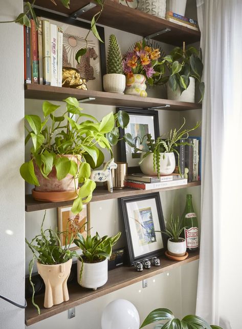 Plant Built In Shelves, Plants Shelf Living Room, Shelf Styling Plants, Wall Shelves Living Room Decor, Wall Shelf Styling Living Room, Plant Room Shelves, Shelf Styling With Plants, Plant Shelf Styling, Shelf Decor Living Room Wall Shelves