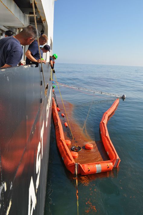 Cleaning up the oil spill — Science Learning Hub Oil Spill Experiment, Bay Of Plenty, Oil Spill, Fuel Oil, Learning Science, Science Fair, Sea Birds, Coast Guard, Clean Up