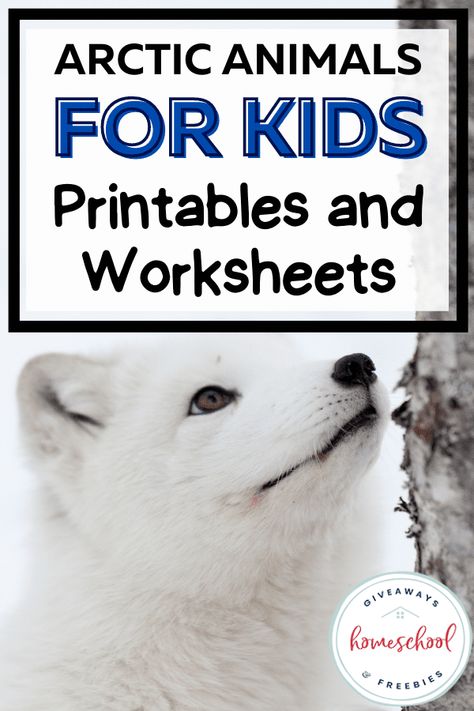 Grab some of these arctic animals worksheets and printables, as well as unit study ideas to create an epic arctic animals unit at home. You'll even find arctic animals crafts and projects for elementary students. Animal Science Experiments, Camouflage Activities, Arctic Animals Printables, Projects For Elementary Students, Polar Animals Preschool, Arctic Animals Activities, Arctic Animals Preschool, Unit Study Ideas, Arctic Animals Crafts