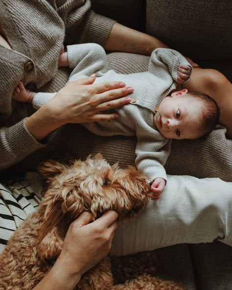 Newborn Photoshoot With Dog, Newborn Baby Photography With Dog, Newborn With Dog Photography, Newborn Family Photos With Dog, Newborn With Dog, Newborn Prep, Newborn And Dog, Dog And Baby, Baby And Dog