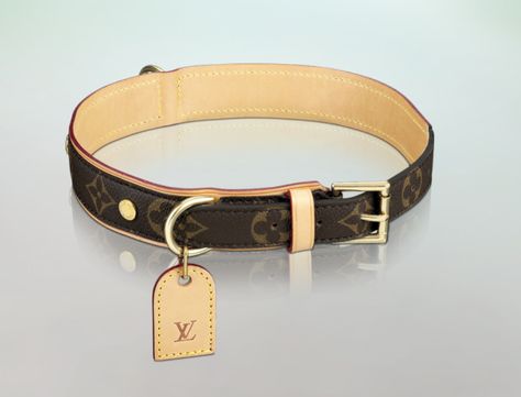 LV - Baxter Dog Collar Chanel Dog Collar, Lv Dog Collar, Coach Dog Collar, Dream Pet, Dog Collar Boy, Luxury Dog Collars, Designer Dog Collars, Luxury Dog, Dog Collar