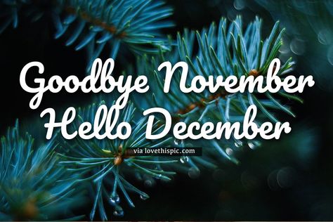 Good Bye November Hello December Quotes, Goodbye November Hello December, Bye November, Goodbye November, Hello December Quotes, November Hello, Quote Twitter, Facebook Cover Photos Quotes, November Aesthetic