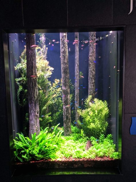 Aesthetic Fishing, Fish Tank Ideas, Fish Aesthetic, Fish Aquarium Decorations, Fish Tank Themes, Amazing Aquariums, Fish Tank Terrarium, Cool Fish Tanks, Fish Tank Design